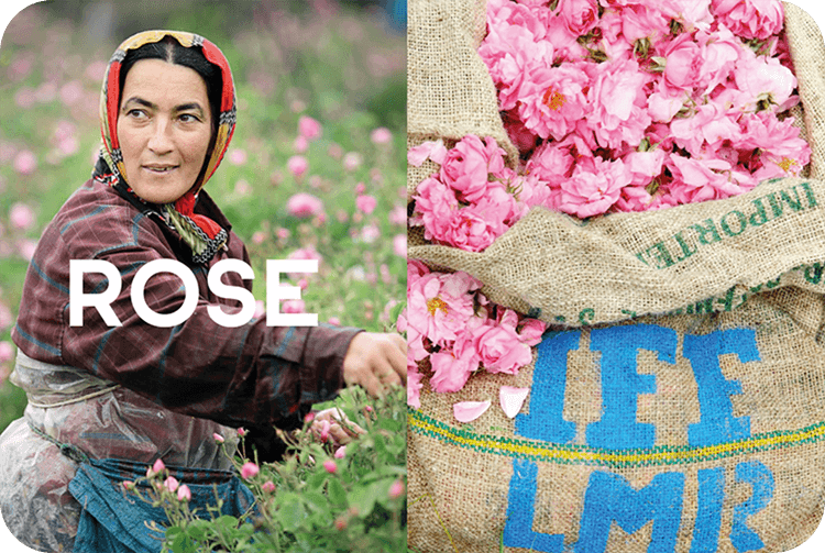 NaturELLE Azra ingredients