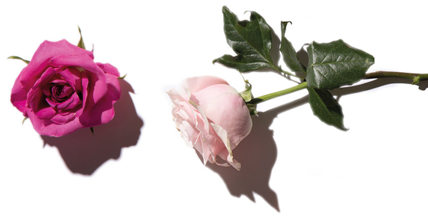 Elle Parfums Azra fragrance notes