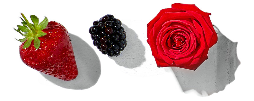 Elle Parfums Berry Seductive fragrance notes