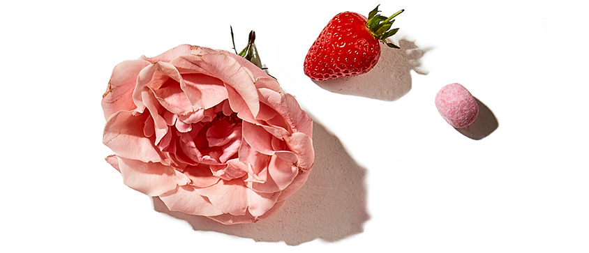 Elle Parfums Cheeky Bonbon fragrance notes