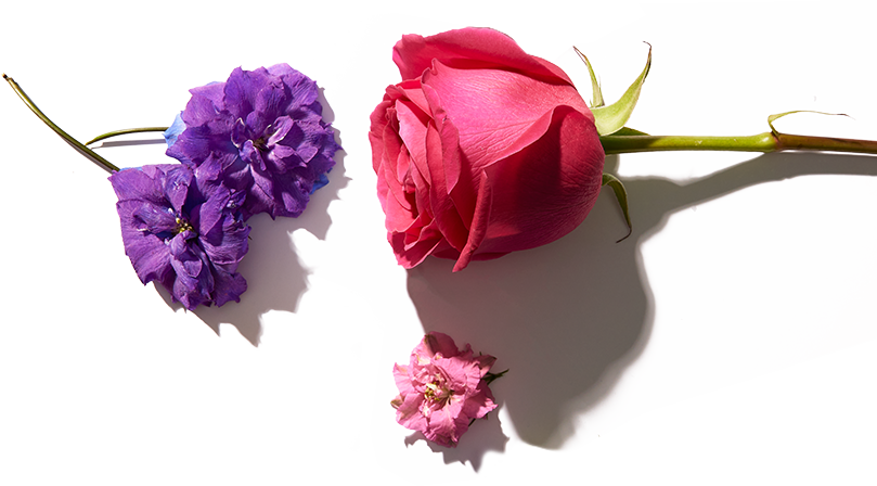 Elle Parfums ELLE in Paris fragrance notes