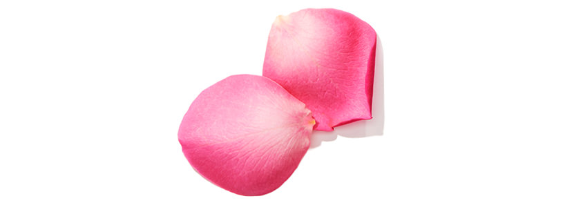 Elle Parfums Fleur fragrance notes