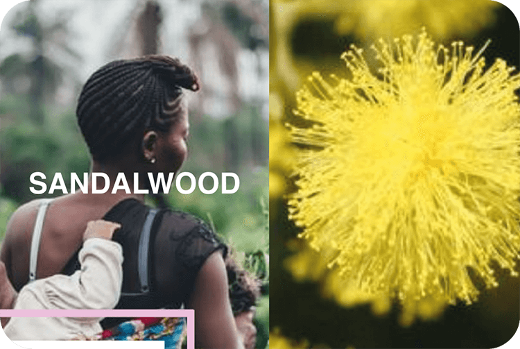 NaturELLE Indra ingredients