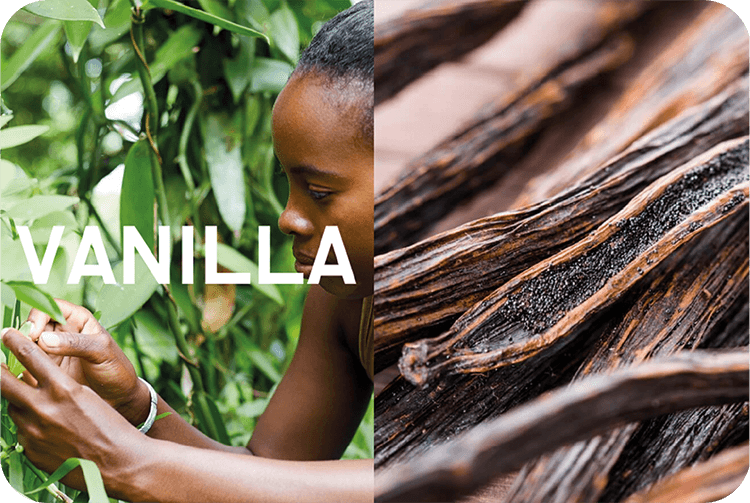 NaturELLE Mira ingredients