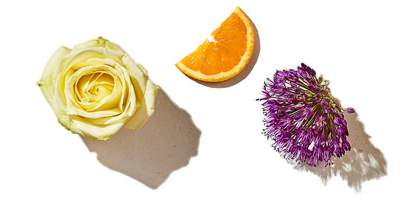 Elle Parfums Paris Chic fragrance notes