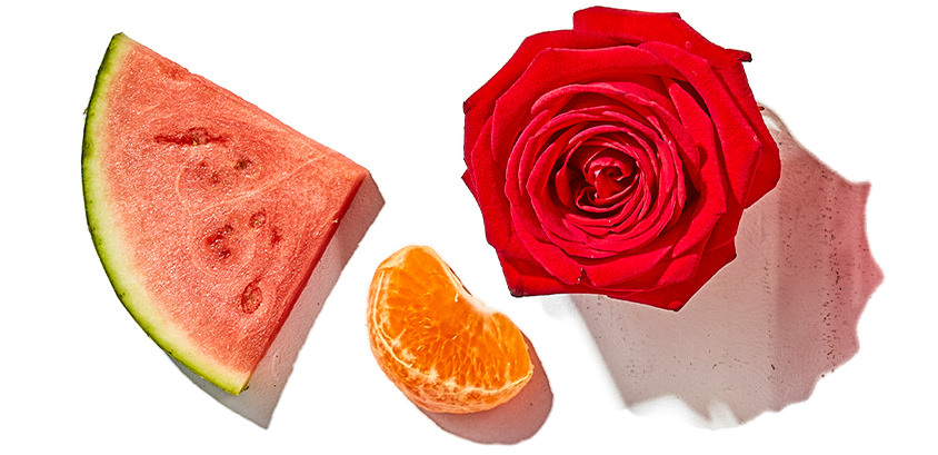 Elle Parfums Rouge Passion fragrance notes